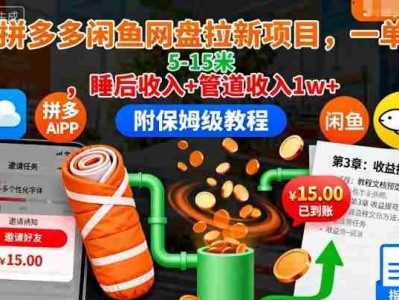拼多多闲鱼网盘拉新项目教程 一单5-15元盈利指南
