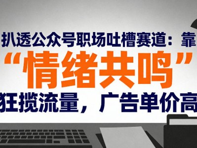 公众号职场吐槽赛道分析：情绪共鸣引流与广告高收益