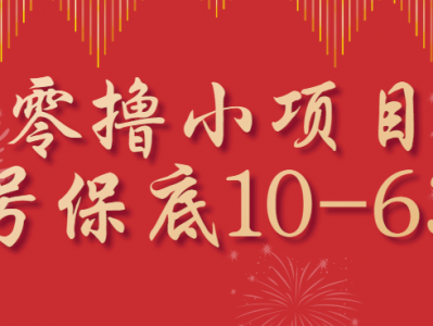 零成本小项目盈利指南，单账号保底10-63元，适合新手多账号操作
