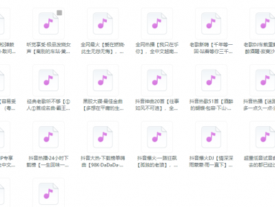 2025年高品质车载DJ音乐大碟无损音质全集驾驶必备热门资源