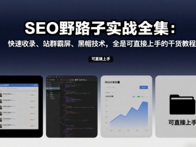 SEO野路子实战全集：快速收录、站群霸屏、黑帽技术干货教程
