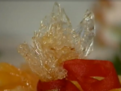 中国八大菜系名菜烹饪800例电视系列教学片资源