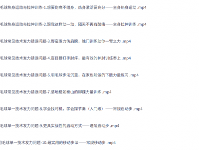 嘉嘉成人羽毛球基础进阶三合一精品课资源