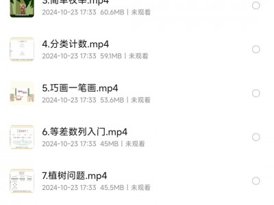 少儿奥数思维训练入门课MP4视频资源