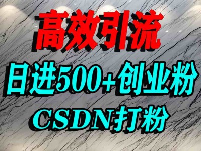 CSDN引流精准流量教程：单人日引500+创业粉丝获取