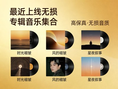 最近上线无损专辑音乐集合119GB资源