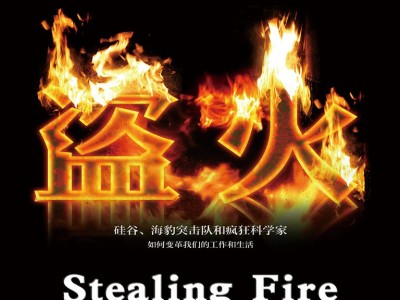 盗火：硅谷海豹突击队与疯狂科学家如何变革工作生活指南