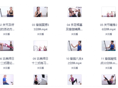 2025最新瑜伽从初级到高级100课全套教程